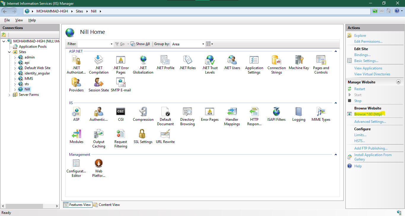 iis screenshot